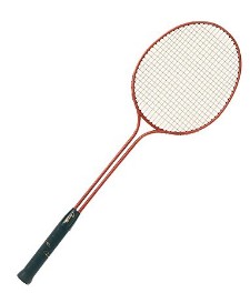 Badminton, Squash si Speedminton
